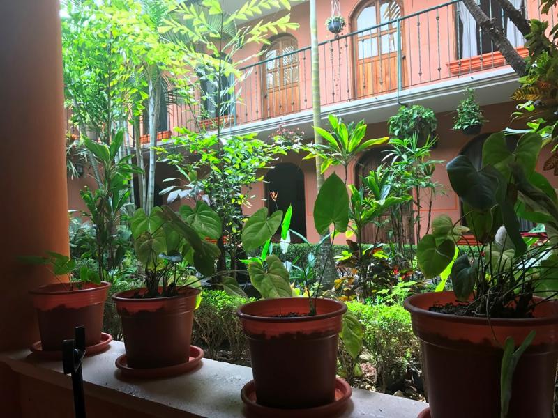 Hotel Posada San Jeronimo Коатепек Екстериор снимка